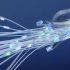 fibra