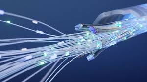 fibra